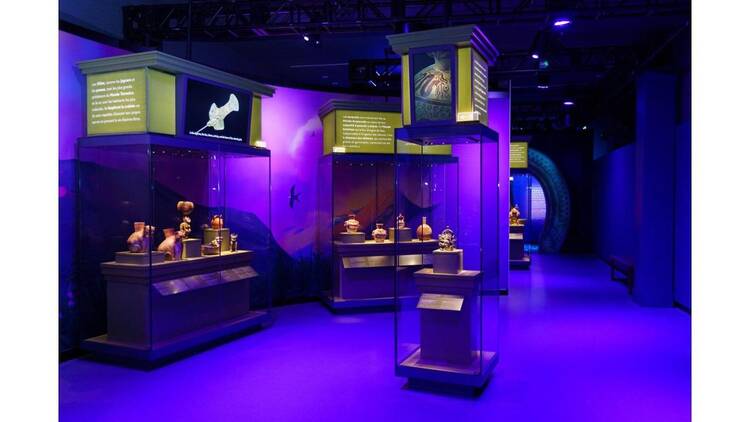 マチュピチュ展 マチュピチュ展