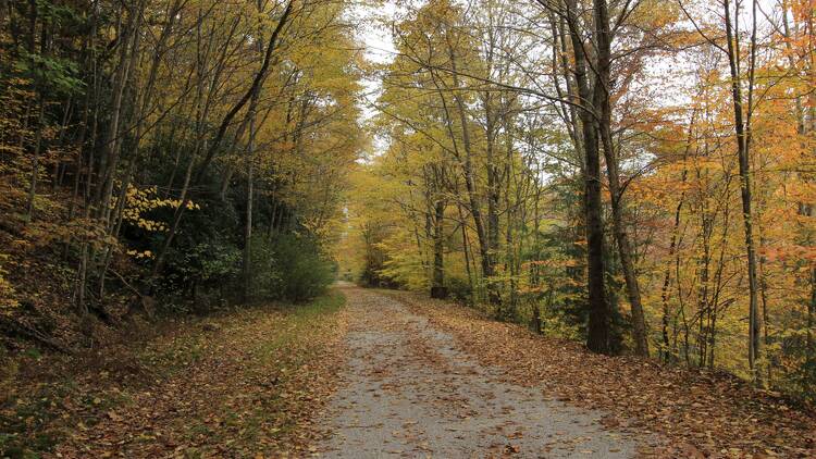 Lehigh Gorge Trail | Jim Thorpe, PA