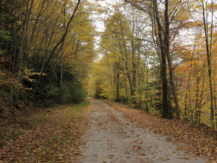 Lehigh Gorge Trail | Jim Thorpe, PA