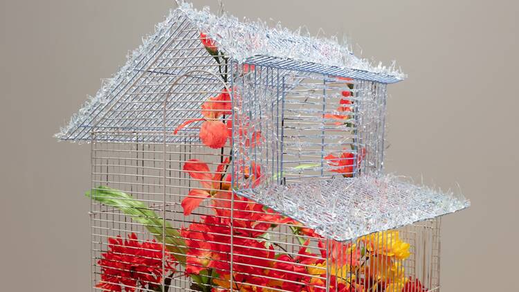 “Mutuality” at Hyde Park Art Center