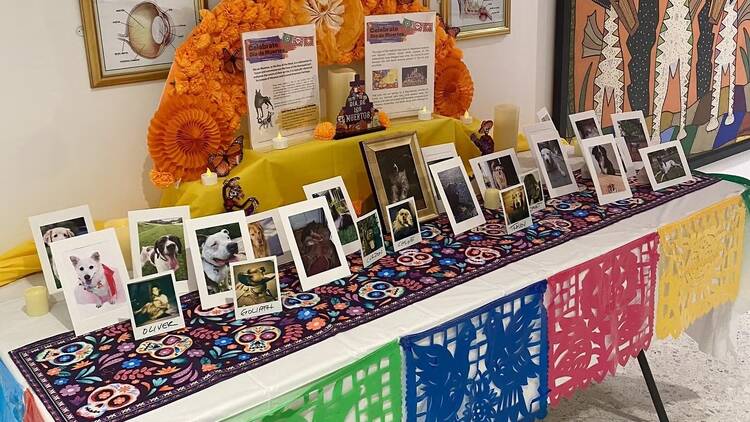 Dia de Muertos ofrenda at AKC Museum of the Dog