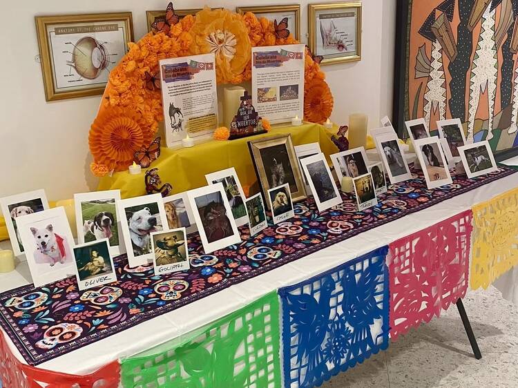 Dia de Muertos ofrenda at AKC Museum of the Dog