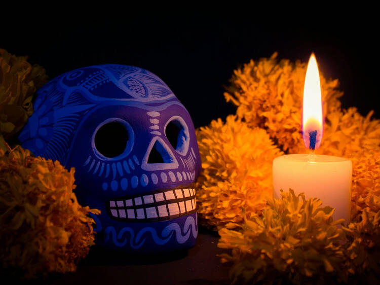 Ofrenda Día de Muertos para mascotas: qué día se pone