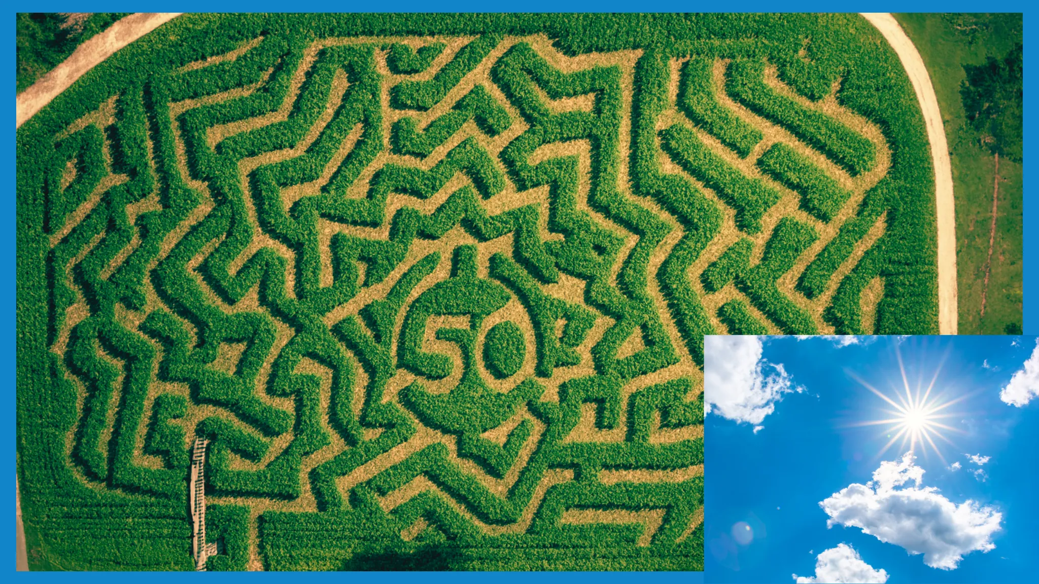 An overhead view of a corn maze.