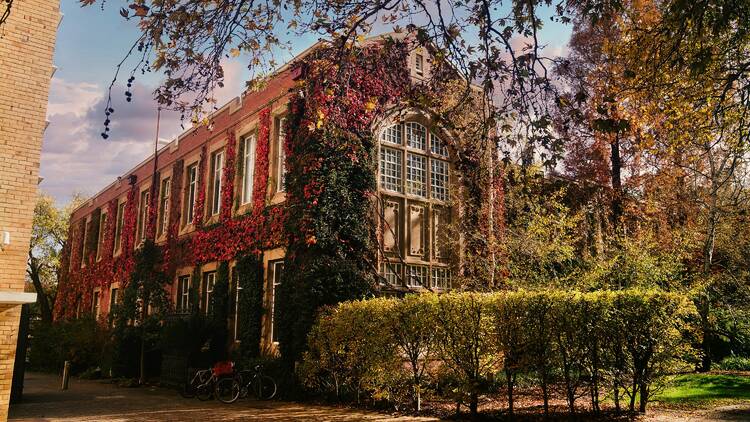 a building with trees in front of it