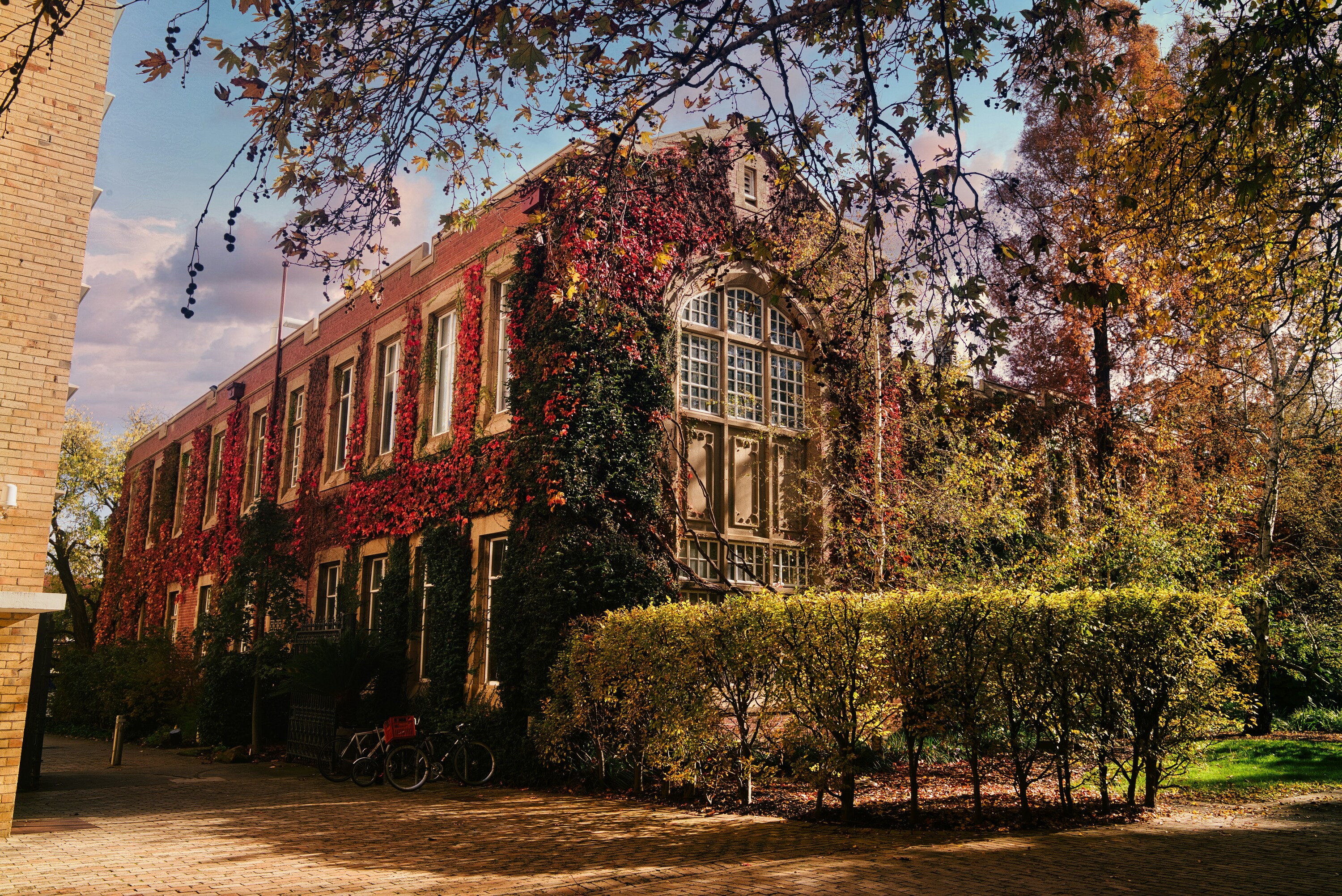 This local Melbourne uni has (once again) been crowned Australia’s top university, according to this prestigious ranking