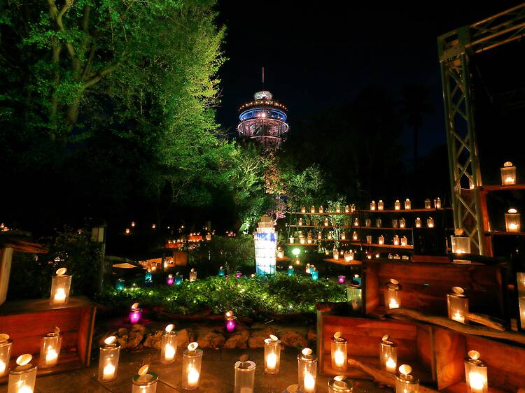 Enoshima Shonan Candle
