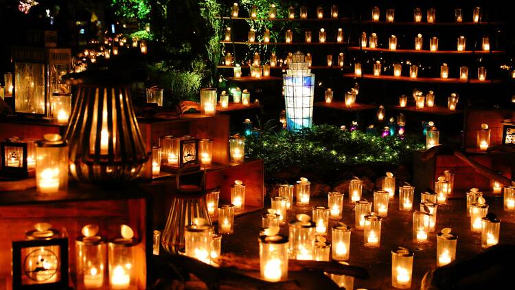 Enoshima Shonan Candle