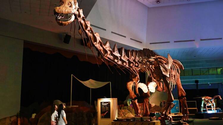 Dinosaurs | Extinctions | Us