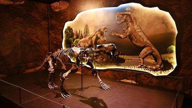 Dinosaurs | Extinctions | Us