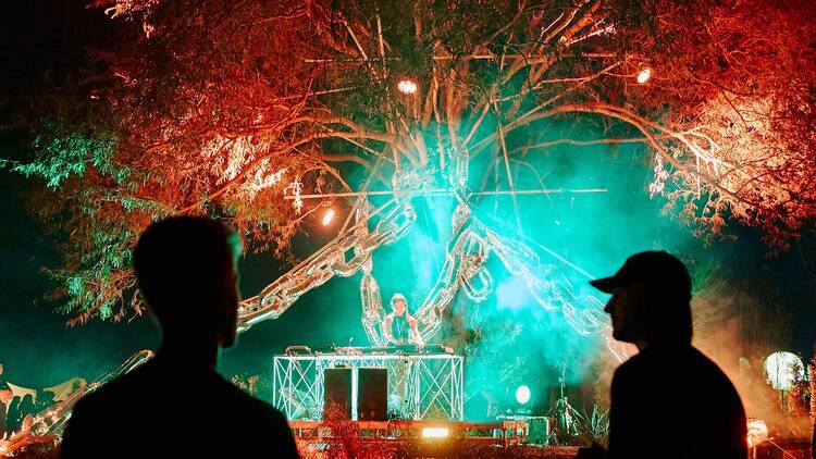 Beatforest