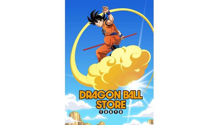 DRAGON BALL STORE DRAGON BALL STORE