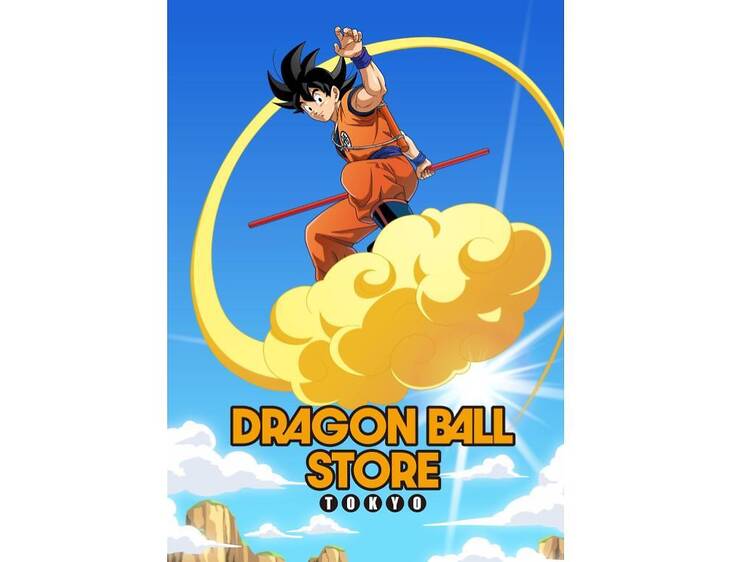 DRAGON BALL STORE DRAGON BALL STORE