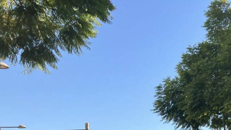 Colectividades em Luta, em 2024