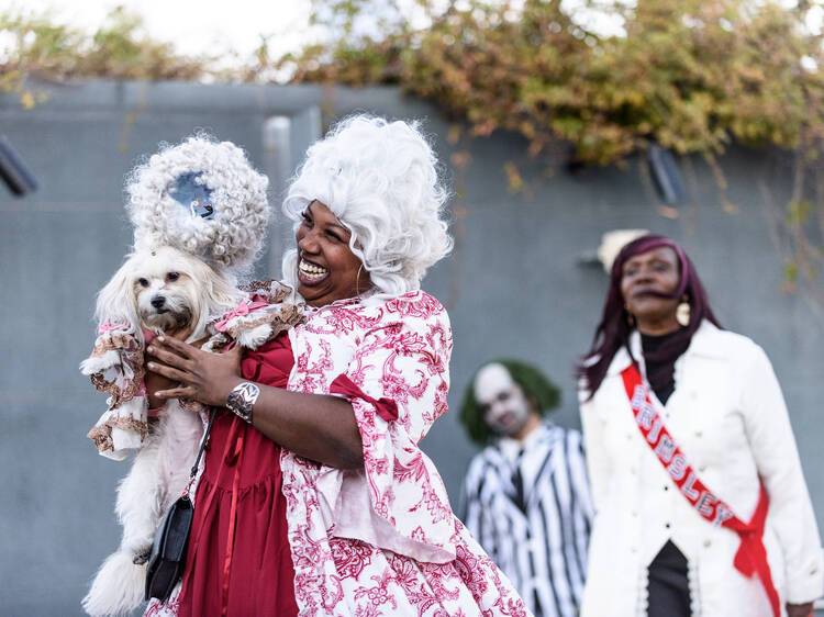 Barktoberfest