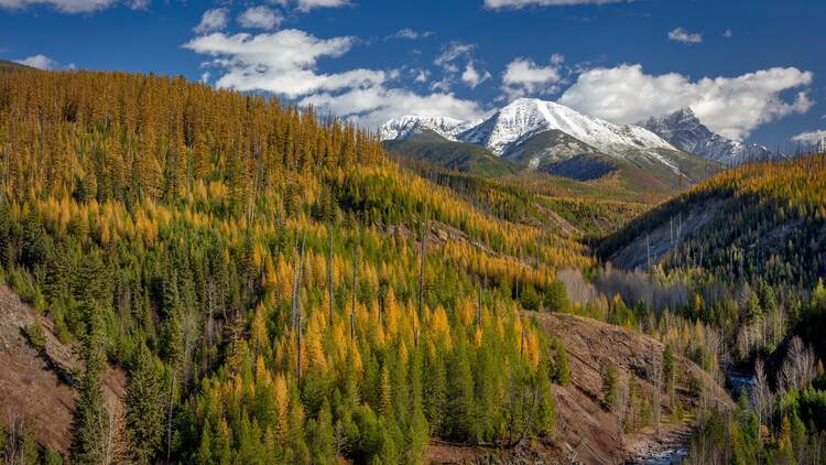 Pinchot Creek with Threesuns and Eaglehead Mountains in Glacier National Park