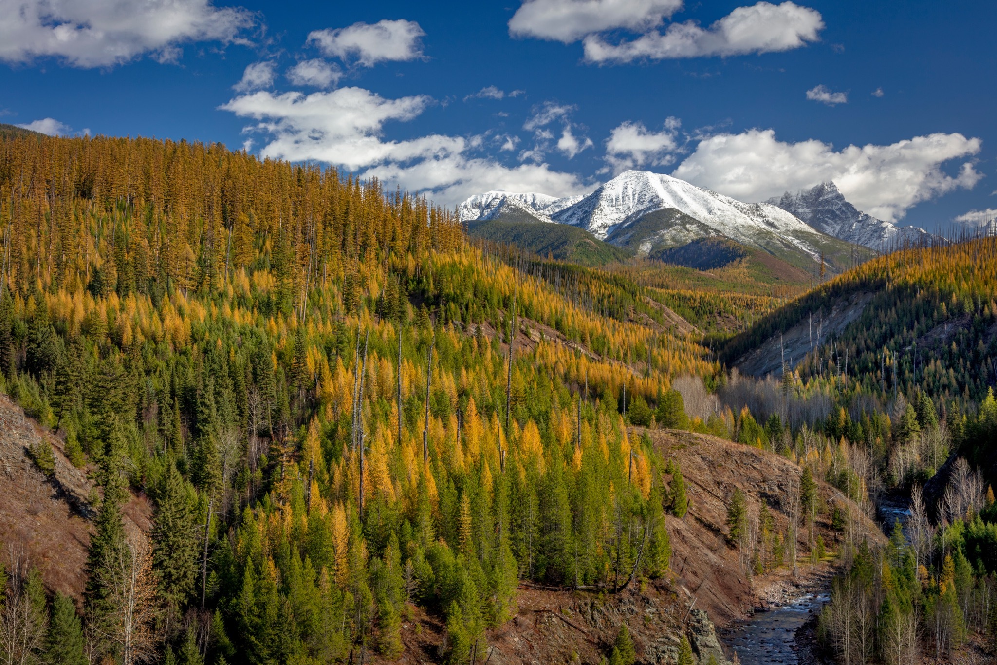 Top Travel Trends for 2026: From Set-Jetting to Retreat Bookings