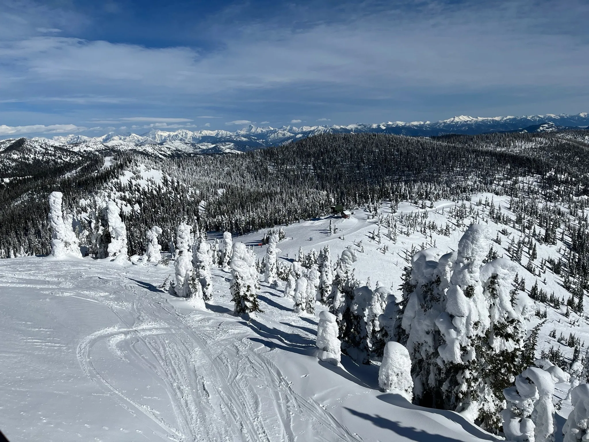“Snow ghost” trees on Whitefish Mountain