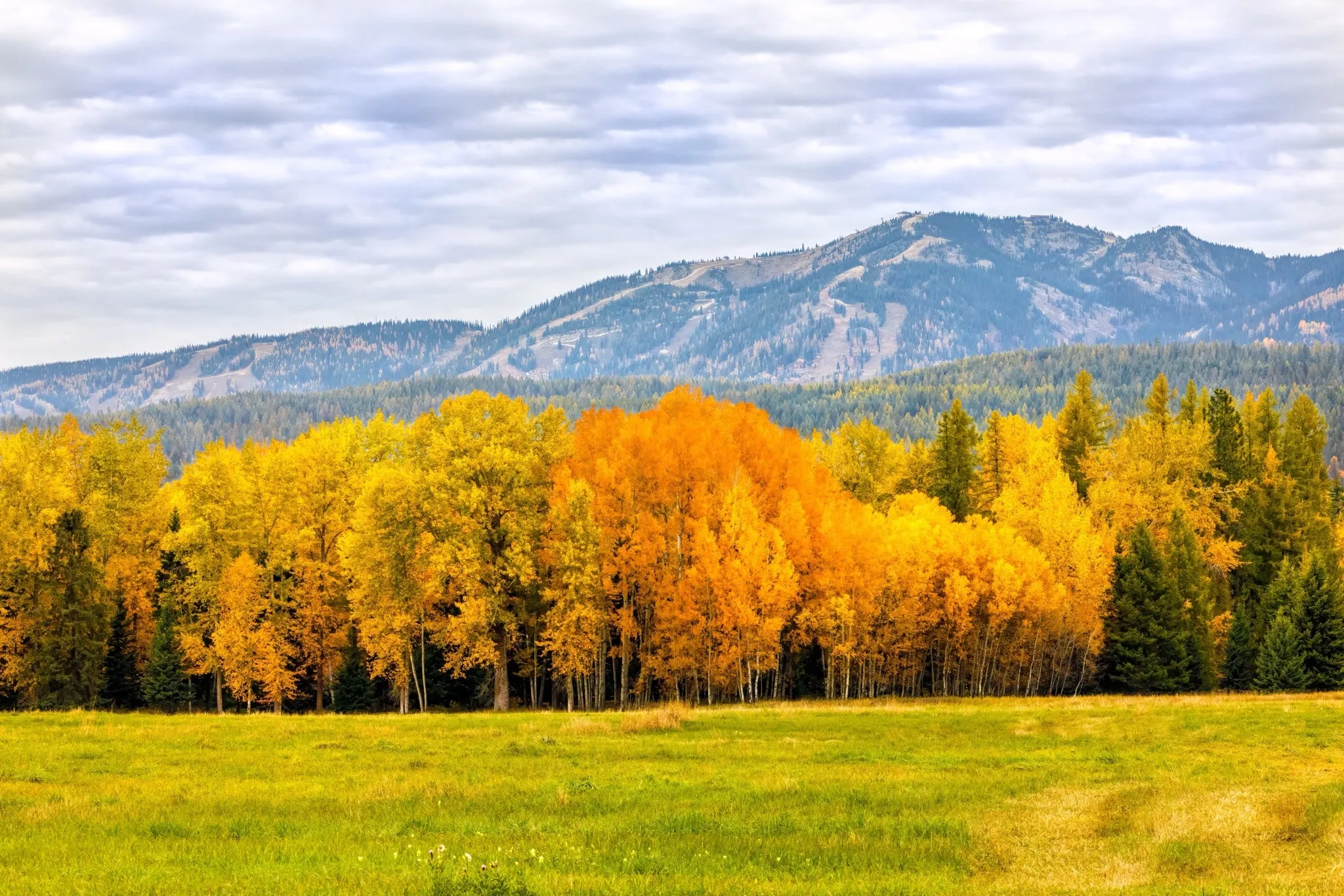 Fall foliage near Whitefish Mountain Resort