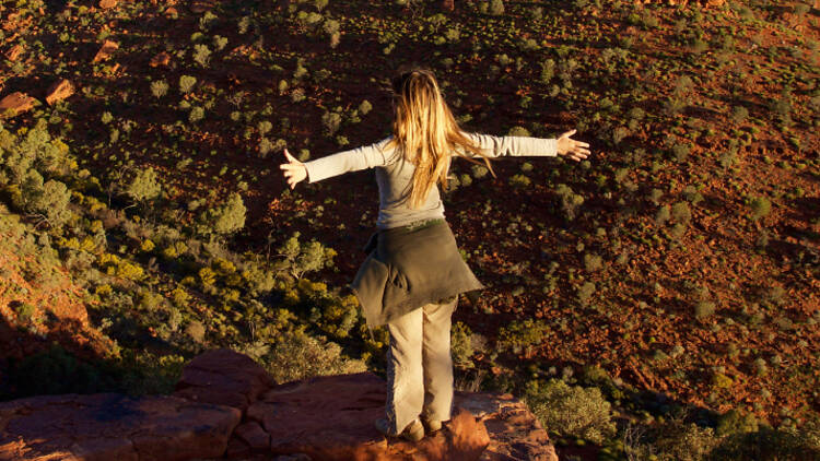 Explore the magic of Kangaroo in Alice Springs