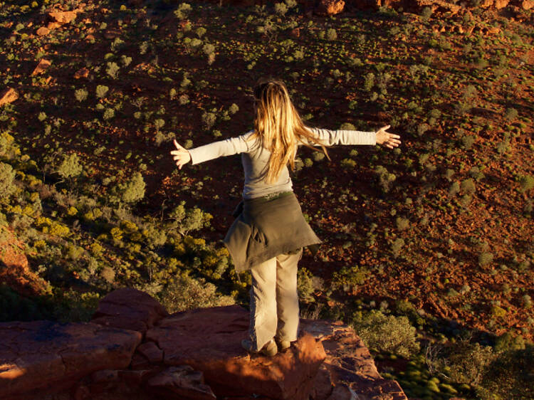 Explore the magic of Kangaroo in Alice Springs