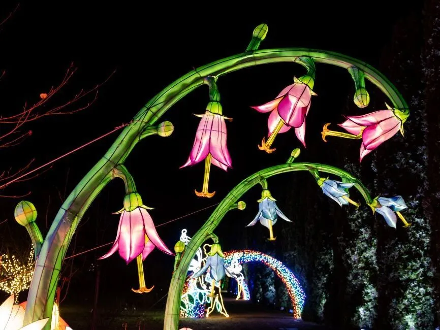Pán Péter és Sohaország meséje a téma 2025-ben a Garden of Lights fényshownak a Füvészkertben