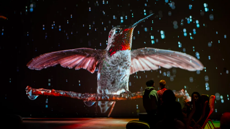 Maravillarte con la exposición inmersiva 'Som natura'