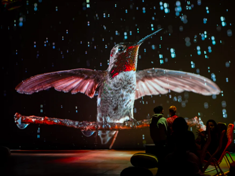 Maravillarte con la exposición inmersiva 'Som natura'