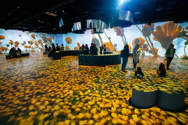 caixa forum, som natura