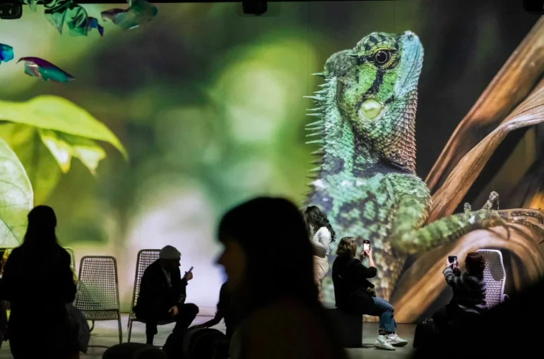 caixa forum, som natura