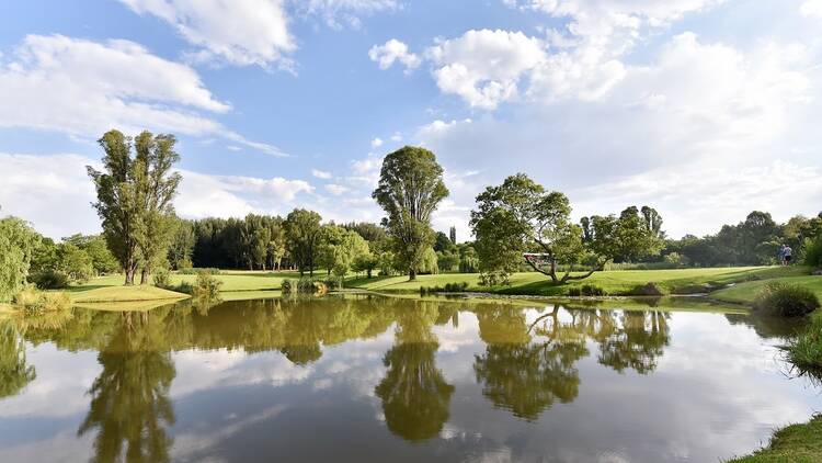 Nirox Sculpture Park  will host TEDxJohannesburg Countdown 2025 
