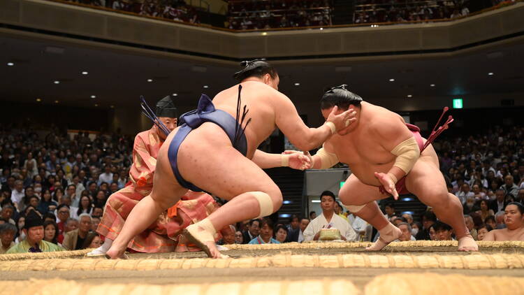 Sumo wrestlers