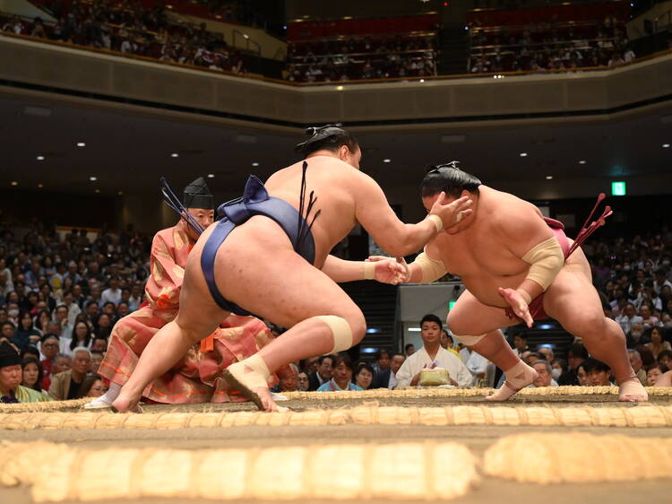 Sumo at London’s Royal Albert Hall: timings, tickets and what you need to know