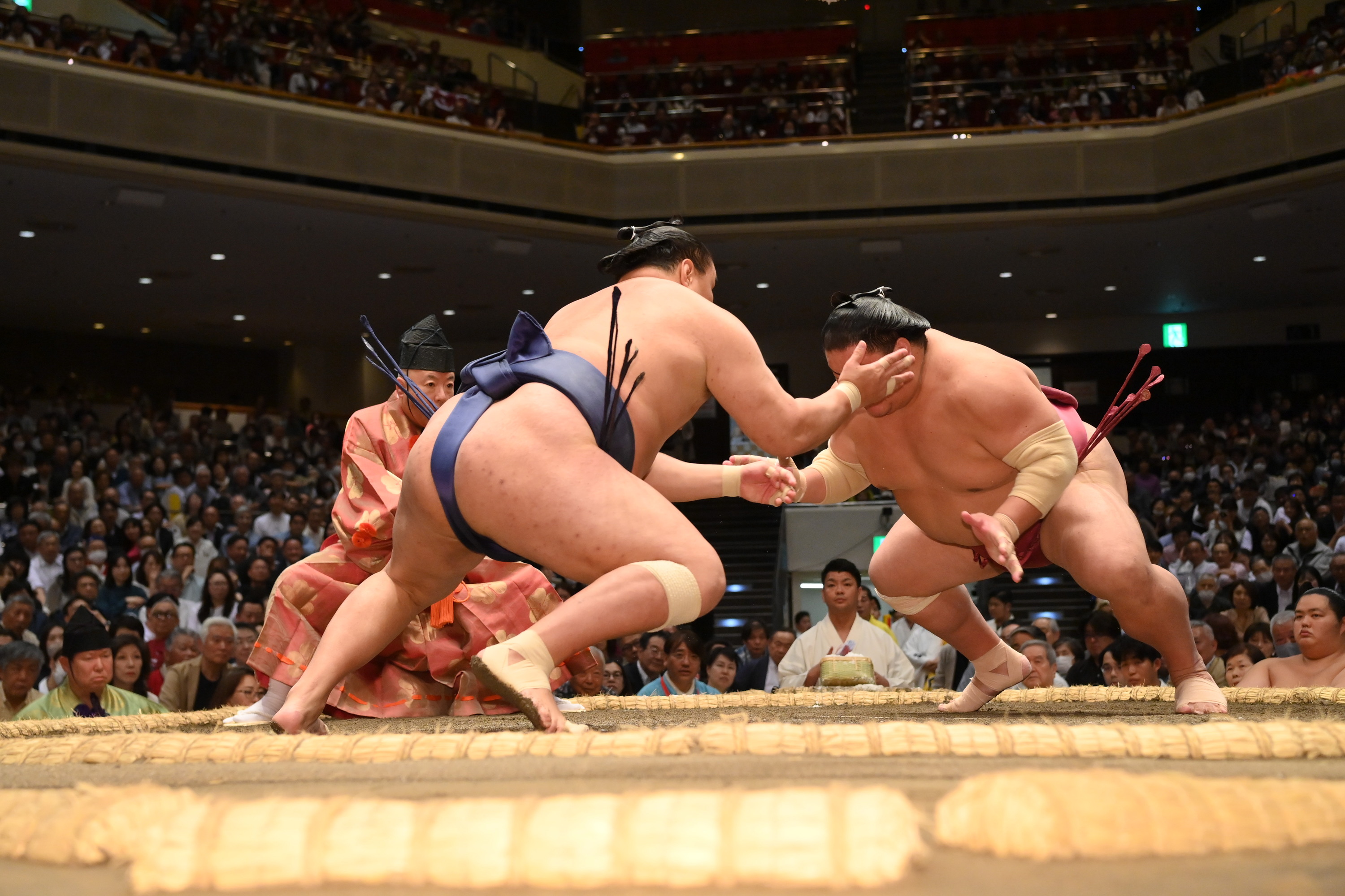 Time Out's ultimate guide to The Grand Sumo Tournament at London's Royal Albert Hall