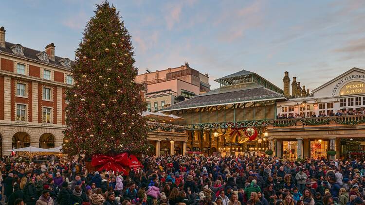Visit the Christmas tree in Covent Garden