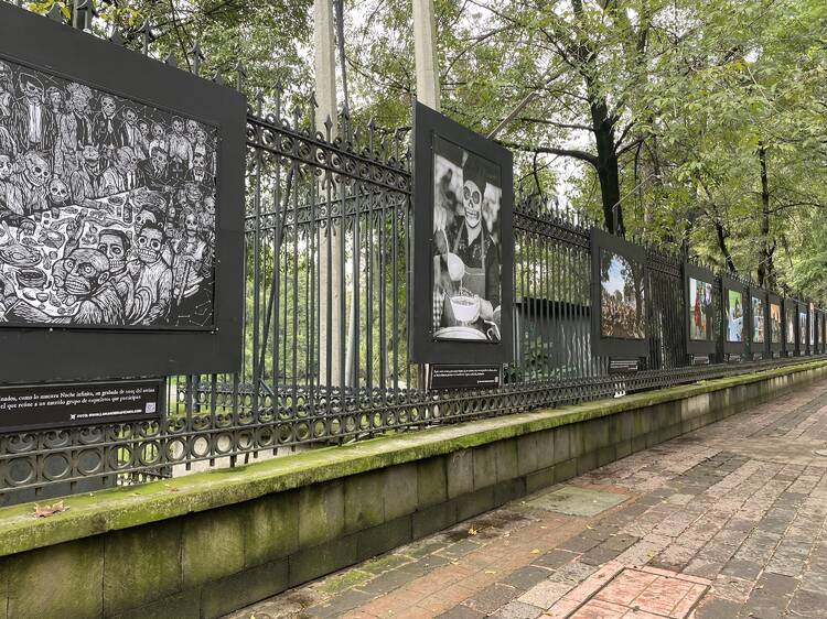 Exposición Fotográfica de Día de Muertos en las Rejas del Chapultepec