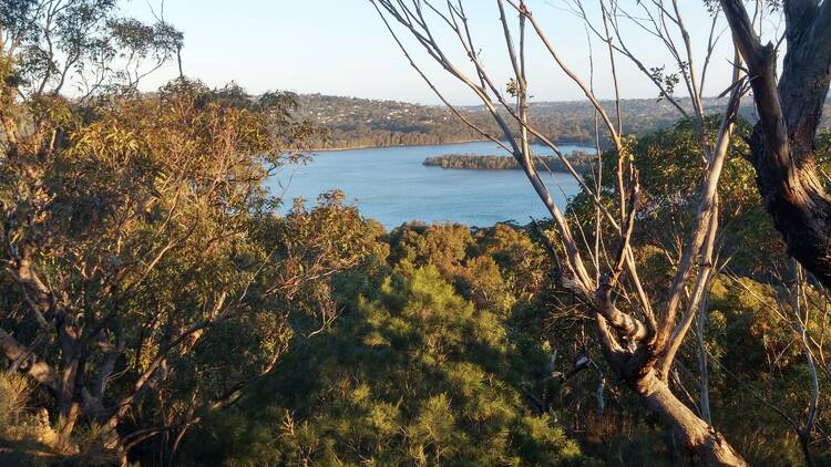 A photo of bush and a lake at Ingleside NSW 2101
