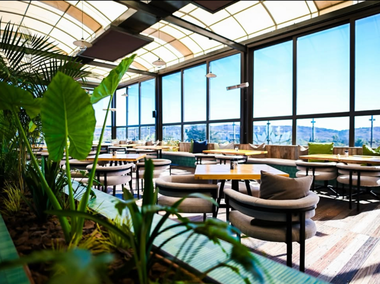 The Ivy Champagne Bar