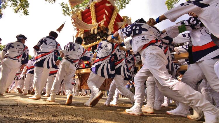 Sakai Festival