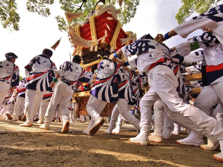 Sakai Festival