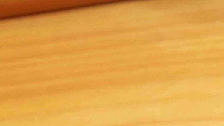 トコシエのすけび