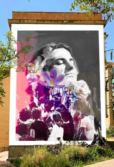  NOU Sentit Urb&agrave; , art 