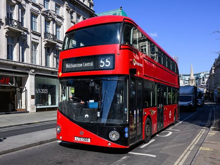 Which London bus routes are ‘infested’ with cockroaches? Which London bus routes are ‘infested’ with cockroaches?
