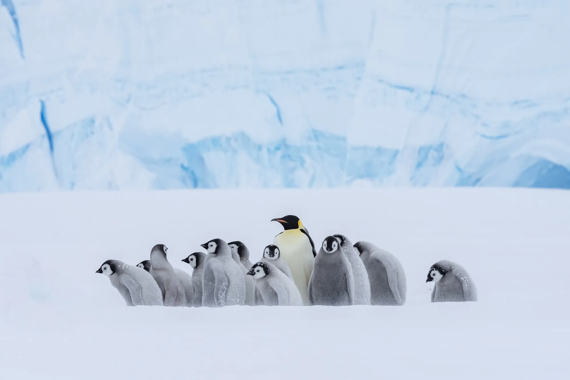 Ultima Antarctic Expeditions