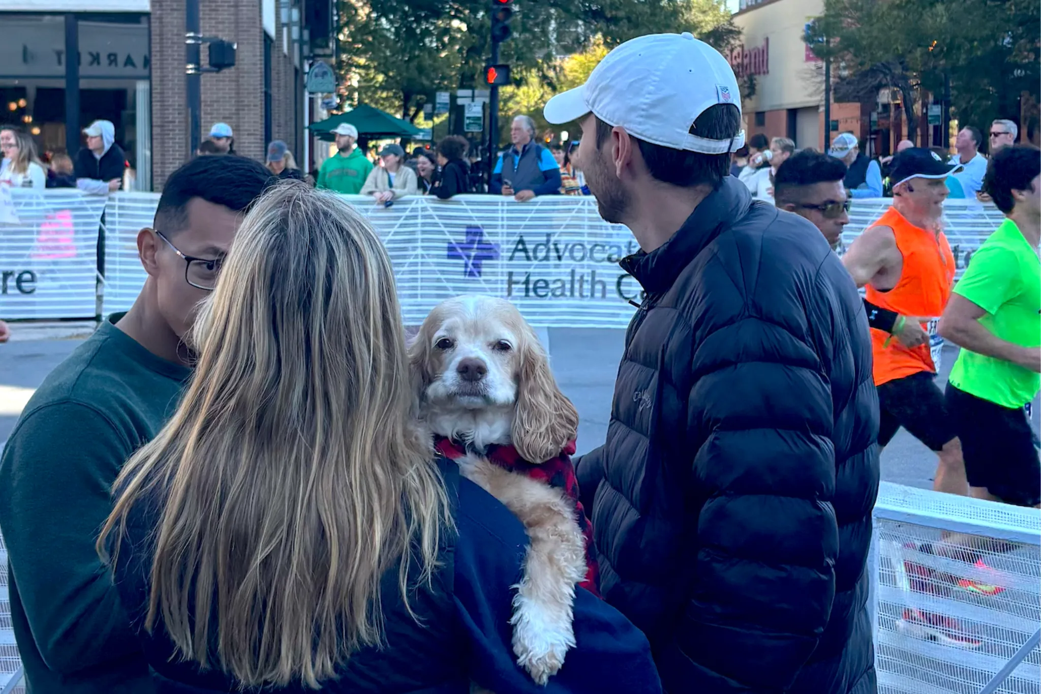 A dog cheering on runners at the Chicago Marathon 2025.