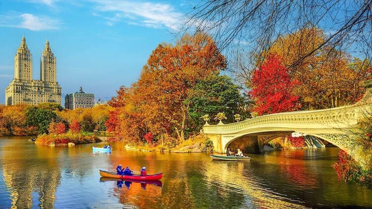 Central Park during autumn