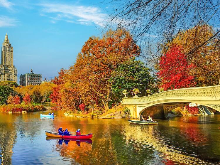 New Yorkâs leaf-peeping season could be shorter than ever this yearâhereâs why New Yorkâs leaf-peeping season could be shorter than ever this yearâhereâs why