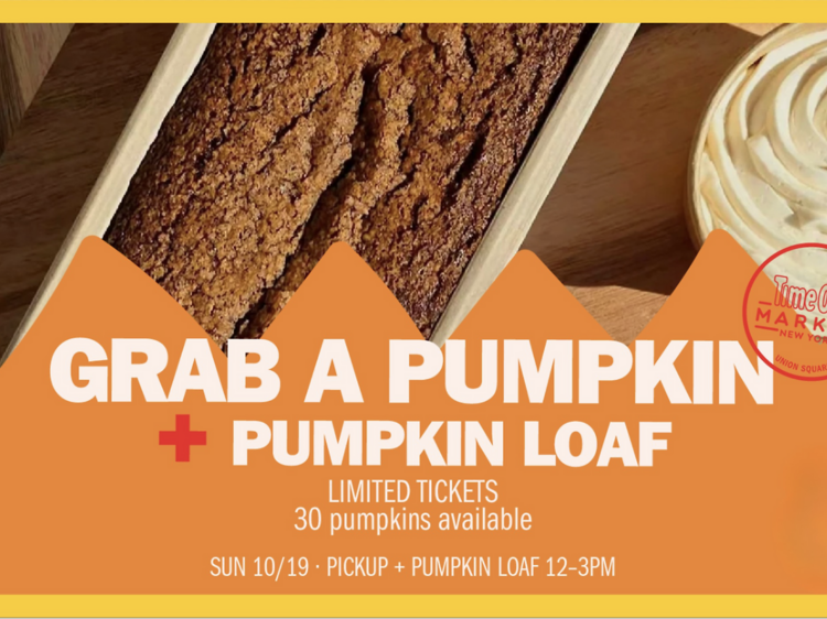Grab a Pumpkin + Pumpkin Loaf Promise!