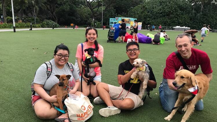 SOSD Adoption Drive October