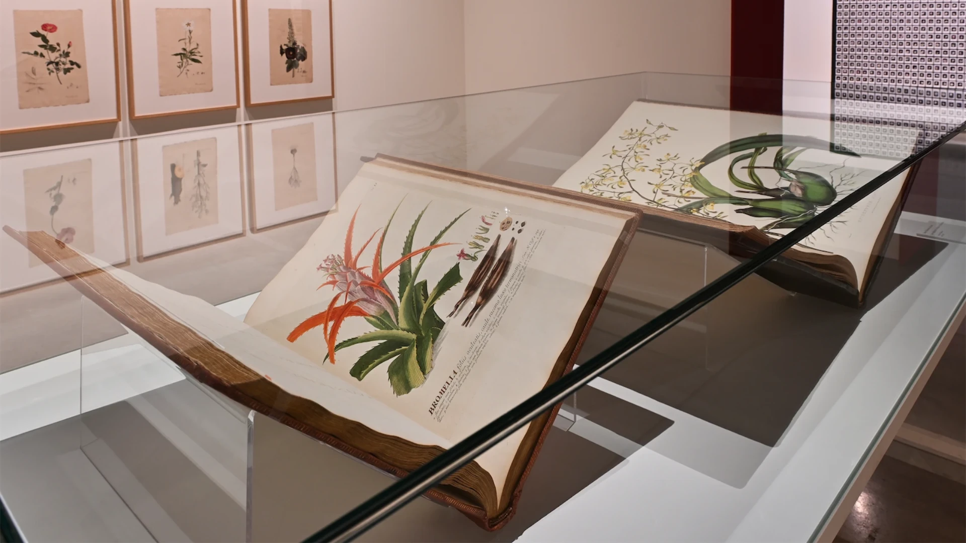 Vista de la exposici&oacute;n 'El sue&ntilde;o de la raz&oacute;n' en Fundaci&oacute;n Telef&oacute;nica